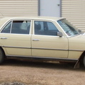 w116 wylie